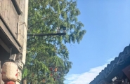 南京自驾游 怎么逛金陵城更有意思