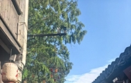 南京自驾游 怎么逛金陵城更有意思