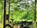 秋骑养生新搭档，VELO Angel TT 坐垫伴你追风