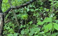 长白山自驾游 和闺蜜一起玩长白山